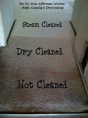 I don't know about You but Steam Cleaning is what I'd choose for the Health of My Carpet.