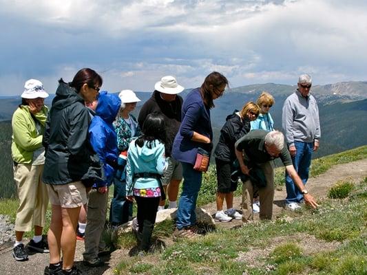 Tundra Nature Walk