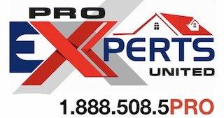 Pro Experts United