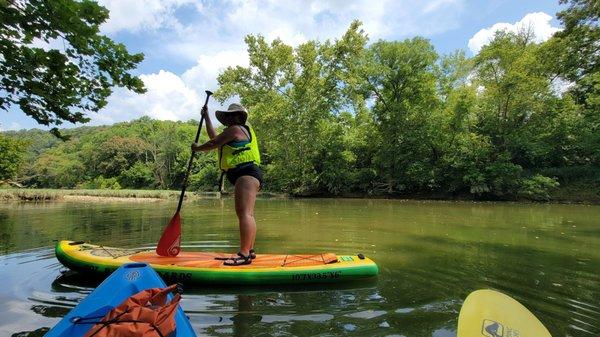 SUP boards, kayaks and canoes are also available for rentals on the Kentucky River in Frankfort.