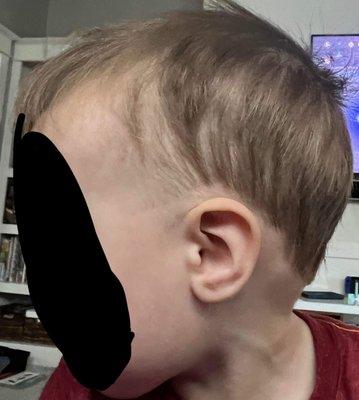 Uneven cut around ears and weird shave line with hair under it by his ear.