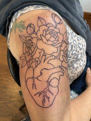 Outline