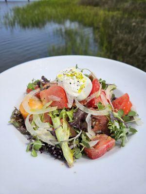 Heirloom Tomato Salad- Dijon Pork Vinaigrette, Shaved Fennel, Burrata, Chive Oil