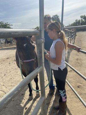 Putting on Dakota's halter.