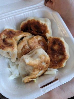 Pot Stickers. The best around!