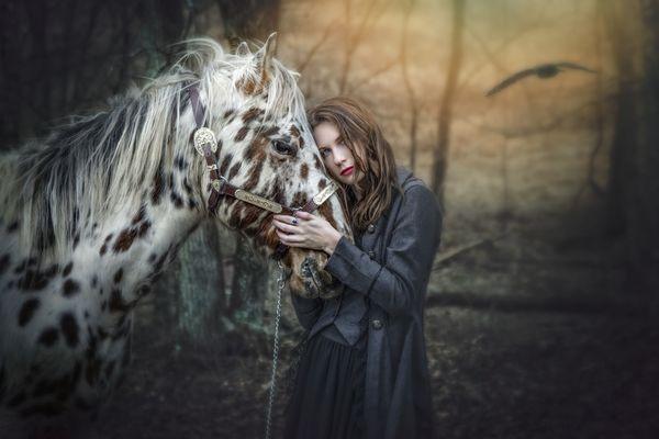 Equine portrait photography