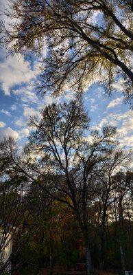 Enjoy the wide open (and often shaded) yard here during your practice or stay.