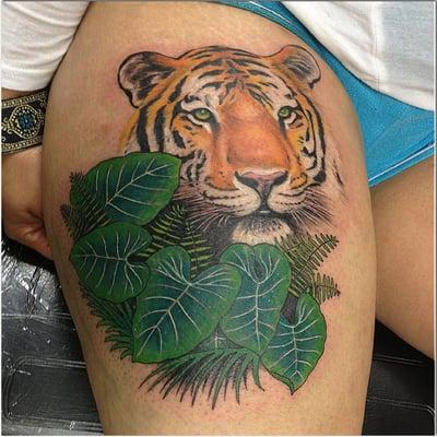 Tiger cover up by Tommy