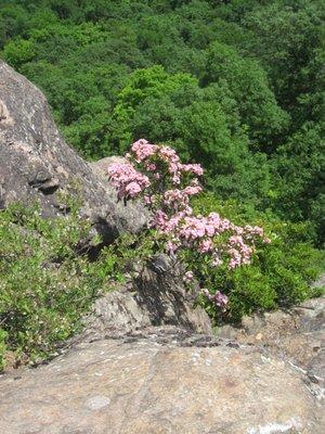 Breakneck Ridge