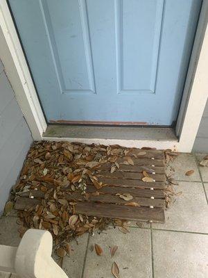 Pile of leaves by front door