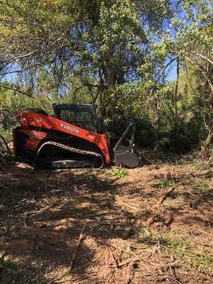 Land Clearing