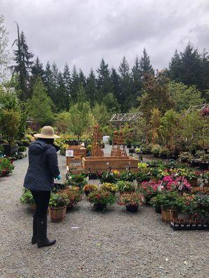 Venture Out Plant Nursery