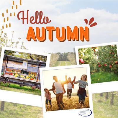 Autumn days have arrived    
Schedule your dental checkup today! 
Call: 773-647-1022