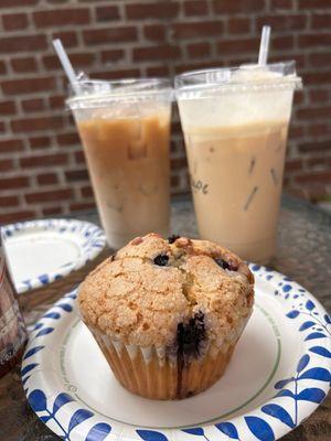 Butter beer  Chocolate muffin Blueberry muffin