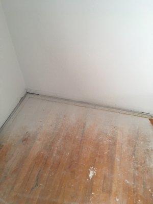 Painted the hardwood floors rather than use a dropcloth.