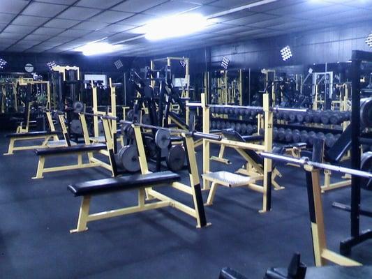 View of the flat benches at the Asylum Gym.