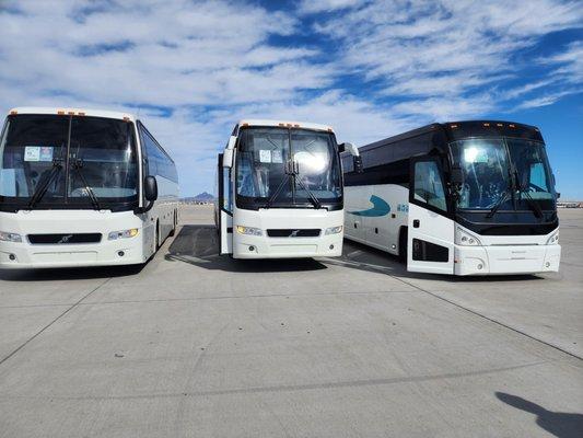 Divine Charter Buses lining up for a large group tour across Arizona.