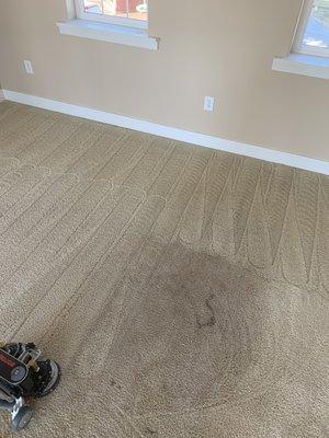 Sometimes it is hard to notice how dirty your carpet is until it is properly cleaned.