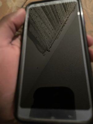 Screen Protector