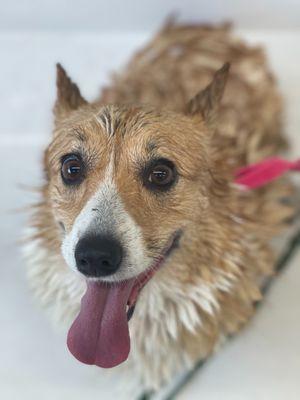 All smiles during her bath!