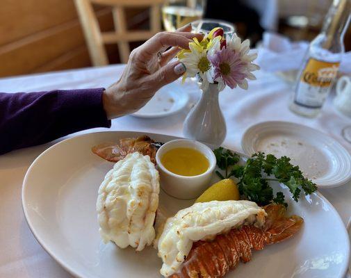 Broiled Twin South African Lobster Tails