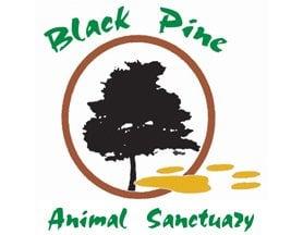 Non-profit exotic animal sanctuary