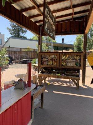 Grocery store set up outside