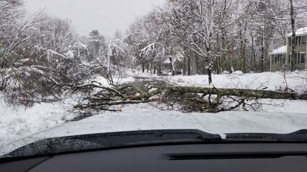 We are out in the storms.glad it didn't land on the truck!