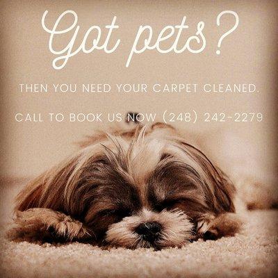 Advanced Carpet Cleaning Systems