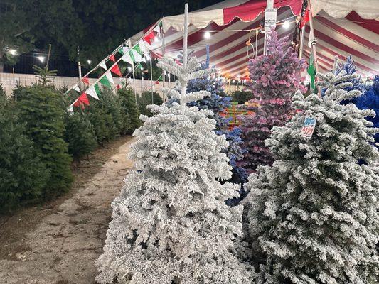 Flocked trees!