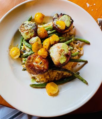 Chili Crusted Scallops