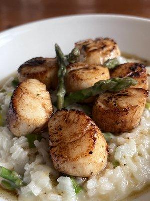 Seared Scallops over asparagus risotto