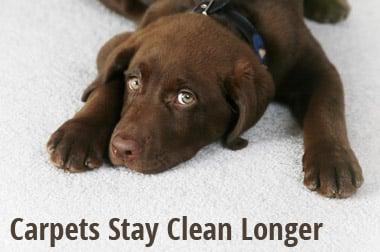 We provide a great carpet cleaning services for Salem, OR and the surrounding areas.