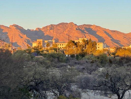 View of Northwest Medical Center from my backyard.