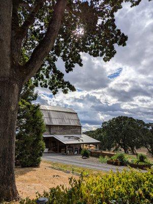 MonksGate Vineyard. Beautiful.