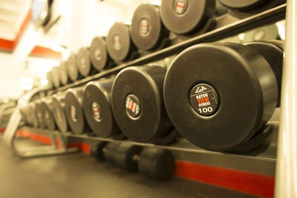 We have dumbbells up to 120 pounds!