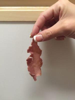 The "bacon that was on our food" looks even worse in person