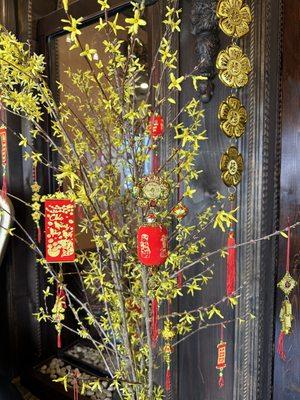 Festive Lunar New Year decorations