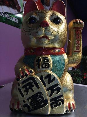 The lucky cat!