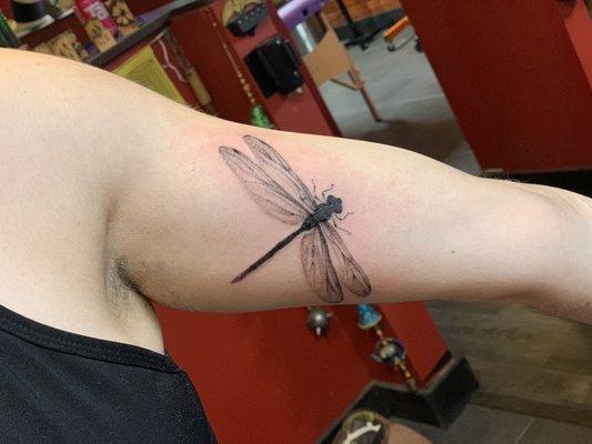 dragonfly on inner bicep