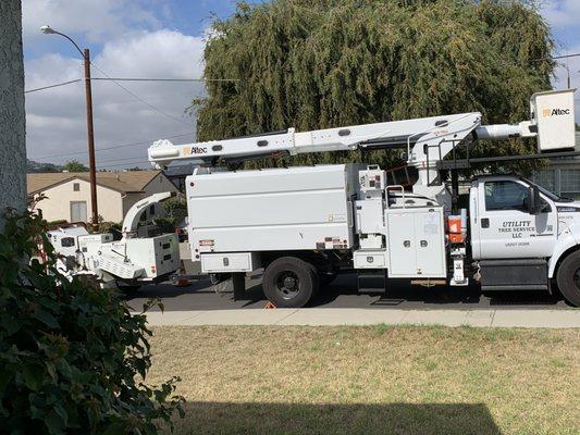 Utility Tree Service - Approved Contractor for Edison