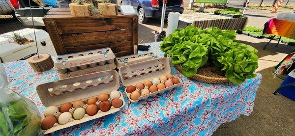 Farm fresh eggs & butter lettuce.