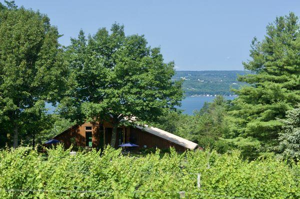 A shot of our tasting room overlooking Seneca Lake!