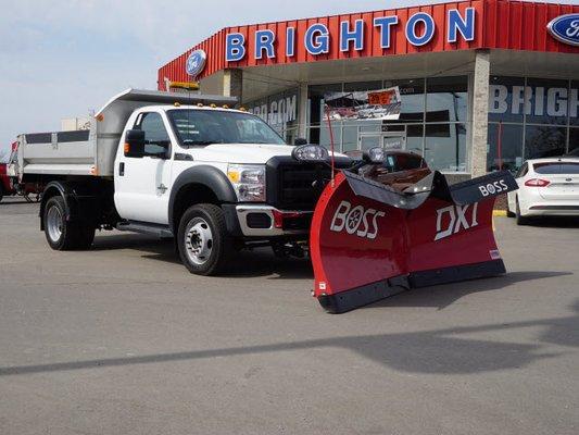 Commercial vehicles at Brighton Ford