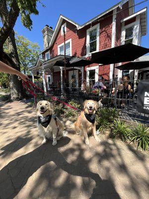 Pet friendly staff and patio!!