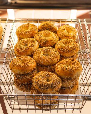 Fresh Baked Everything Bagels