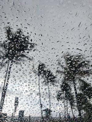 Rain drops on my car window in Deerfield Beach.