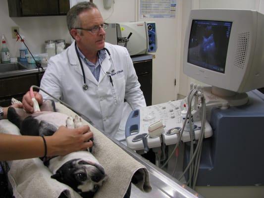 Dr. O'Reilly performing an ultrasound.