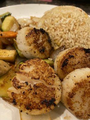 Scallop hibachi