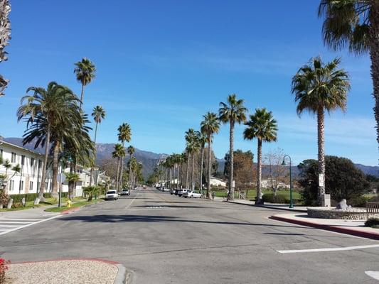 Linden Street looking towards the hills